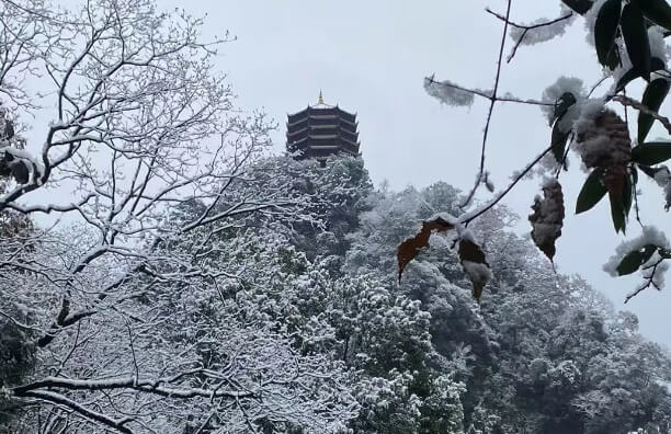 成都佳兴外国语学校 成都佳兴外国语学校